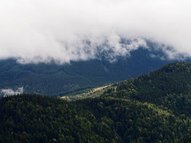 Carpatian dağlar görünümü üst