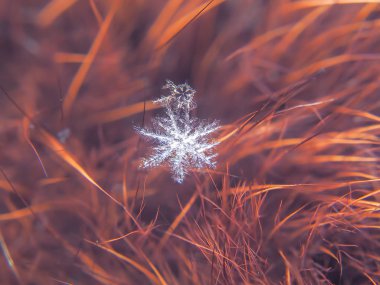 Kar tanesi güzel renkli arka plan makro üzerinde