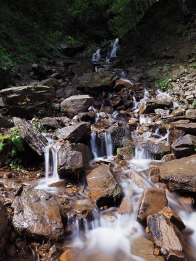Carpatian dağlar yeşil orman şelale