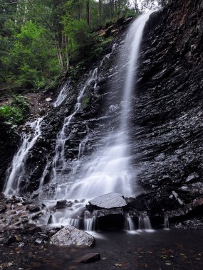 Şelale yeşil yağmurlu çam ormanı, carpatian Dağları 