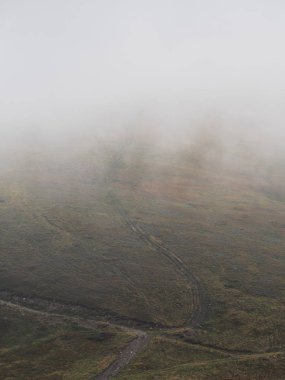Yeşil orman köyünde Karpat Dağları 