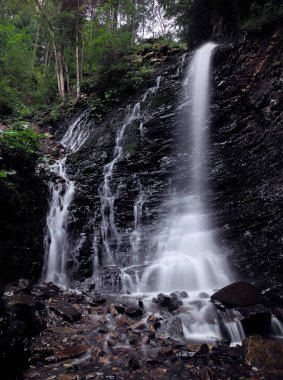 Şelale yeşil yağmurlu çam ormanı, carpatian Dağları 