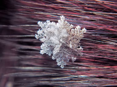Kar tanesi güzel renkli arka plan makro üzerinde