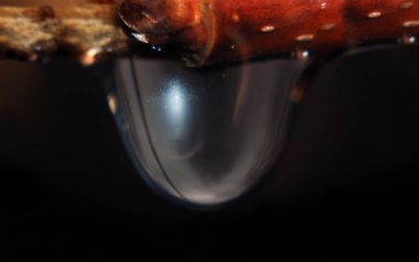 Şube soyut su gümüş parlak teslimi