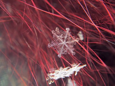 Kar tanesi güzel renkli arka plan makro üzerinde