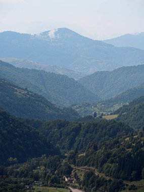 Carpatian dağlar yeşil orman köyünde 