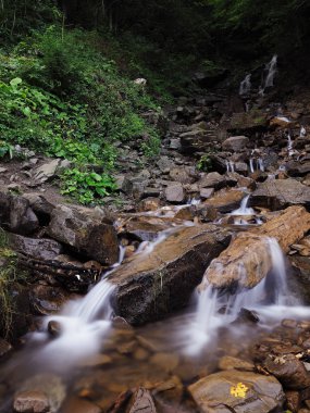 Carpatian dağlar yeşil orman şelale
