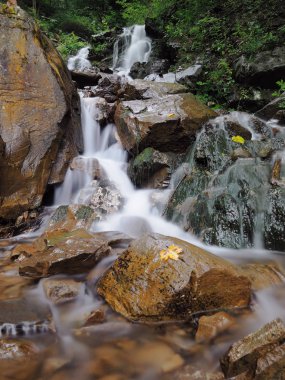 Carpatian dağlar yeşil orman şelale