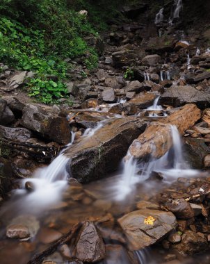 Carpatian dağlar yeşil orman şelale