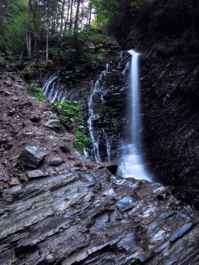 Şelale yeşil yağmurlu çam ormanı, carpatian Dağları 