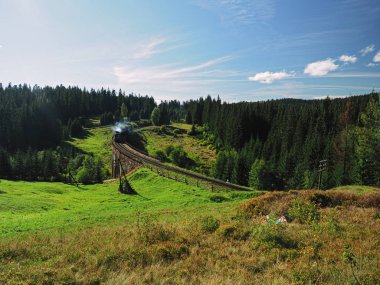 Carpatian dağlar yaz manzaraları Tren