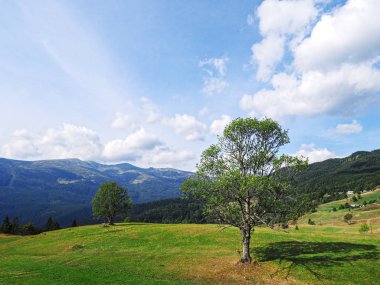 Üstten Carpatian dağlar görünüm
