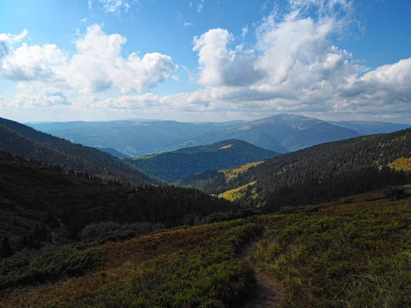 Carpatian Montanhas Topview Floresta Verde — Fotografia de Stock