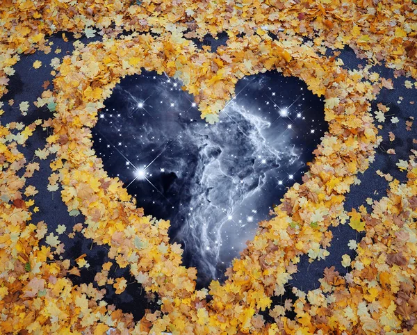 Heart from yellow autumn maple leaves road to universe