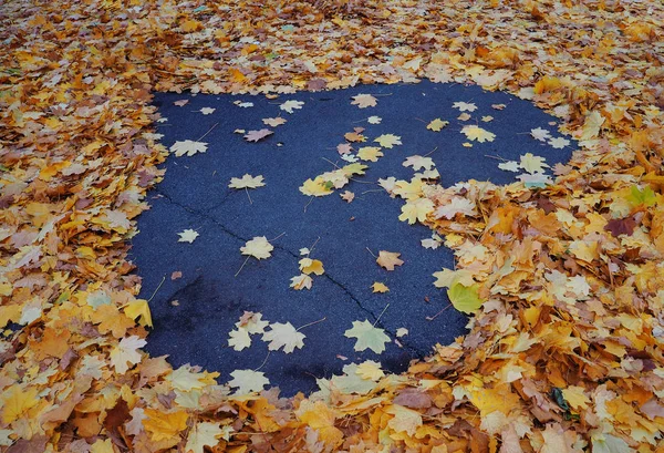 Herz Aus Gelben Herbst Ahornblättern Blauen Asphalt — Stockfoto