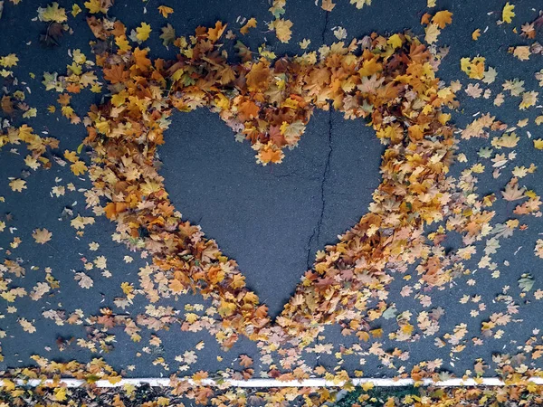 Coeur Des Feuilles Automne Sur Vue Asphaltée Haut — Photo