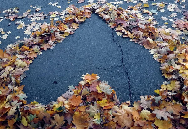 Heart from autumn maple leaves at the asphalt