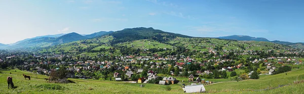 Carpathian Mountains Village Green Forest — Stock Photo, Image