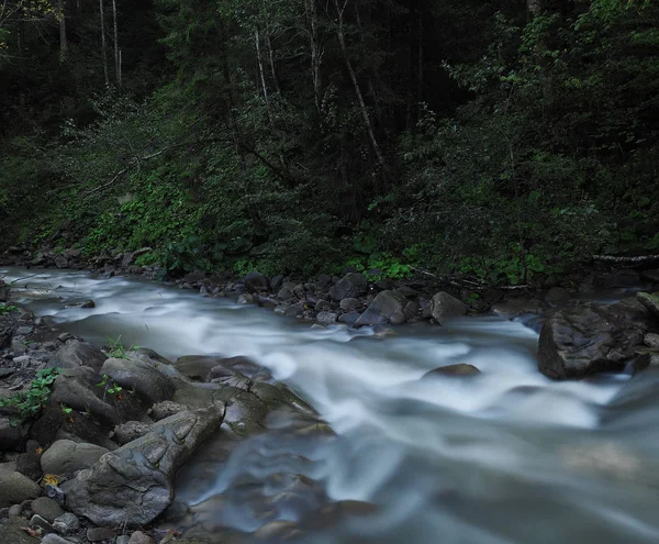 Річка Карпатах Зелений Ліс — стокове фото