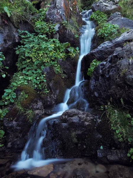 Cascata Sulle Montagne Carpatiche Nella Verde Pineta Pluviale — Foto Stock