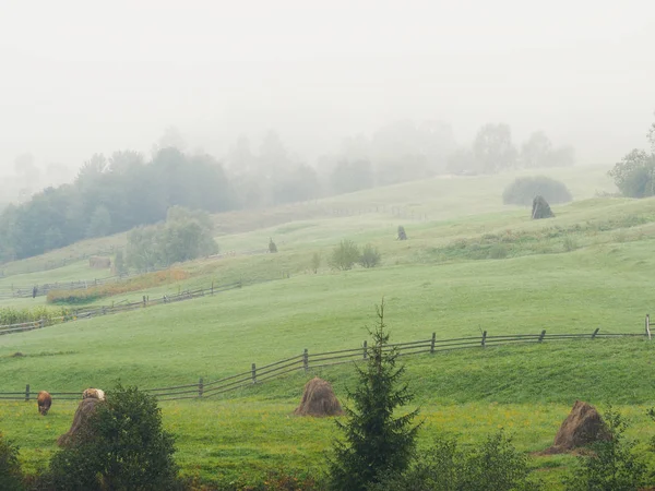 Carpatian 山村的雾与雾 — 图库照片