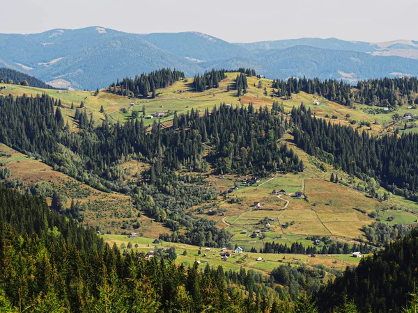Wieś Karpat Zielonym Lesie — Zdjęcie stockowe