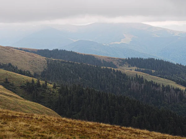 Carpatian Mountains Green Forest — Stock Photo, Image