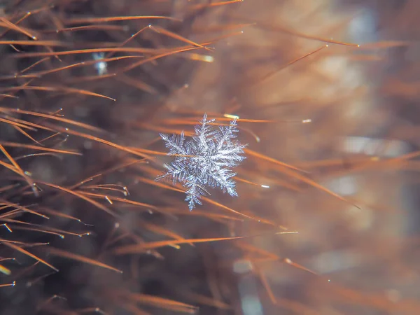 Schneeflocke Schön Auf Dem Bunten Hintergrund Makro — Stockfoto