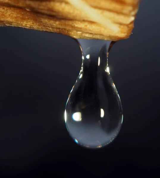Σταγόνα Νερό Πέσει Κάτω Από Δέντρο Μακροεντολή — Φωτογραφία Αρχείου