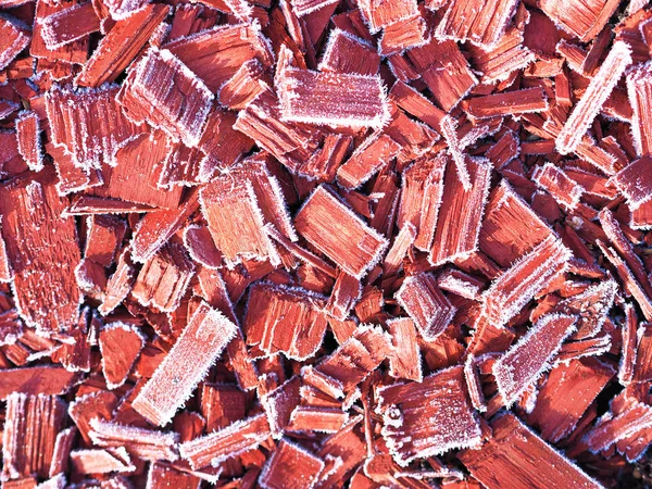 Donmuş buz gibi Woods üstten görünüm