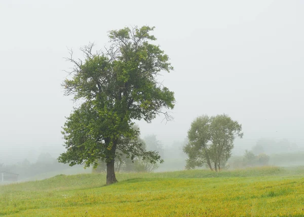 Niebla Niebla Pueblo Las Montañas Carpatian — Foto de Stock