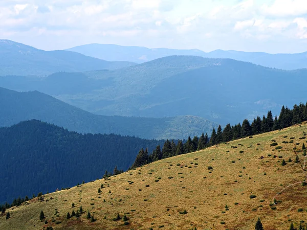 Montanhas Carpáticas Com Floresta Verde — Fotografia de Stock