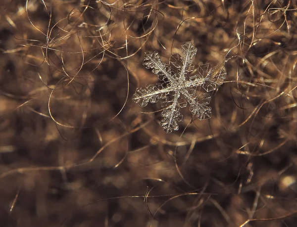 Schneeflocke Groß Auf Rotem Hintergrund — Stockfoto