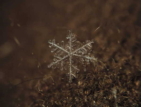 Schneeflocke Groß Auf Rotem Hintergrund — Stockfoto