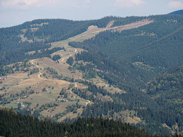 Aldeia Das Montanhas Dos Cárpatos Floresta Verde — Fotografia de Stock