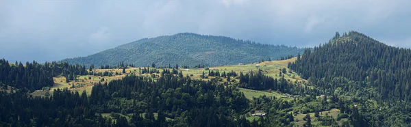 Karpaten Dorf Grünen Wald — Stockfoto