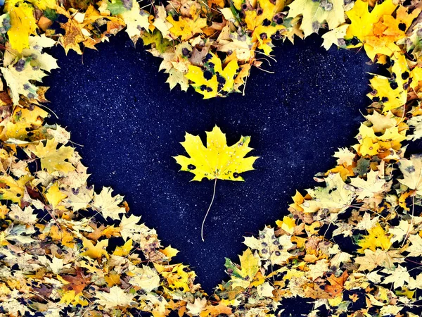 Coeur Des Feuilles Automne Sur Asphalte — Photo