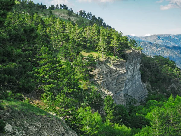 Las Montañas Crimea Bosque Verde Aldea — Foto de Stock