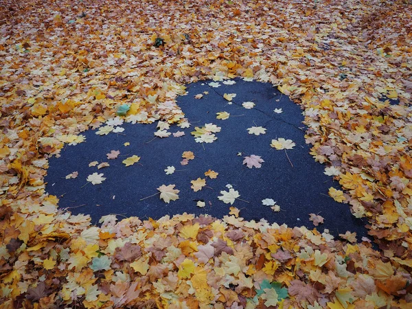 Heart from yellow autumn maple leaves at the blue asphalt