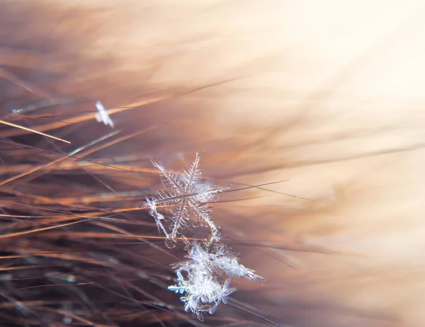 Beautifull Śnieżynka Makro Kolorowe Tło — Zdjęcie stockowe