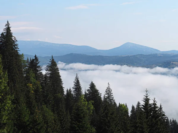 Blick Von Oben Auf Die Karpatischen Berge — Stockfoto