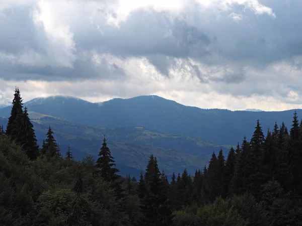 Karpatisches Bergdorf Grünen Wald — Stockfoto