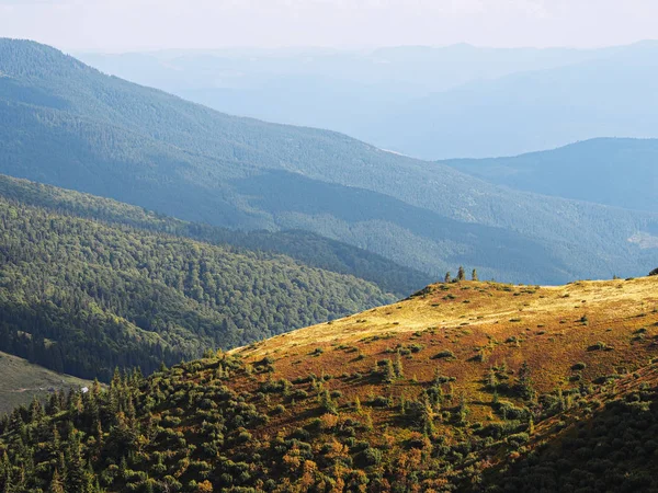 Aldeia Das Montanhas Dos Cárpatos Floresta Verde — Fotografia de Stock