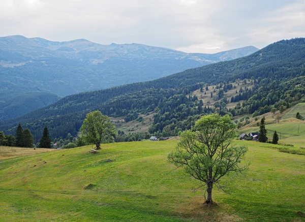 Blick Von Oben Auf Die Karpatischen Berge — Stockfoto