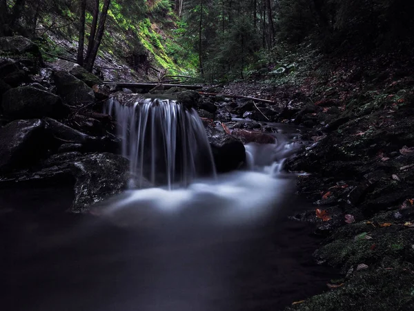 Cachoeira Nas Montanhas Carpáticas Floresta Pinheiros Chuvosos Verdes — Fotografia de Stock