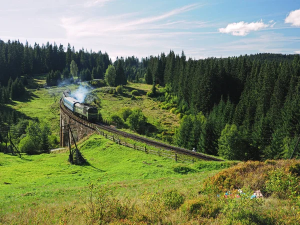 Carpatian Montanhas Trem Verão Paisagens — Fotografia de Stock