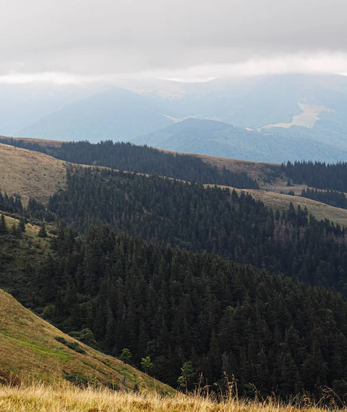 Montanhas Carpáticas Floresta Verde — Fotografia de Stock