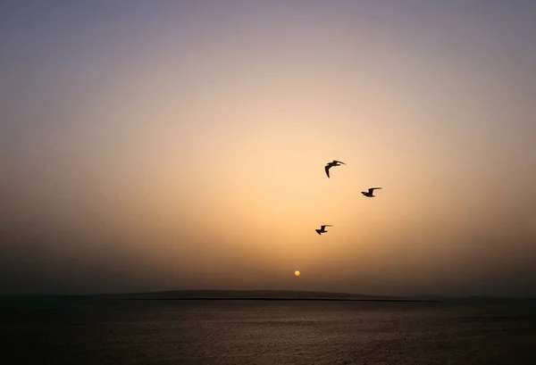 Céu Vívido Dramático Pôr Sol — Fotografia de Stock