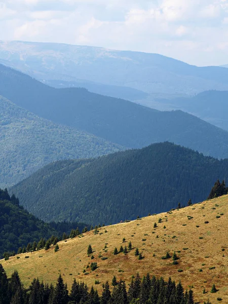 Карпатские Горы Зеленым Лесом — стоковое фото