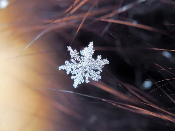 Schneeflocke Schön Auf Dem Bunten Hintergrund Makro — Stockfoto
